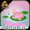 89pbet Elite New