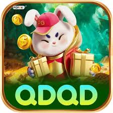 qdqd Live Champion